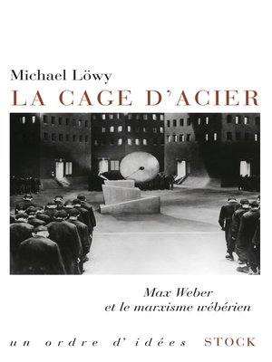 cover image of La cage d'acier